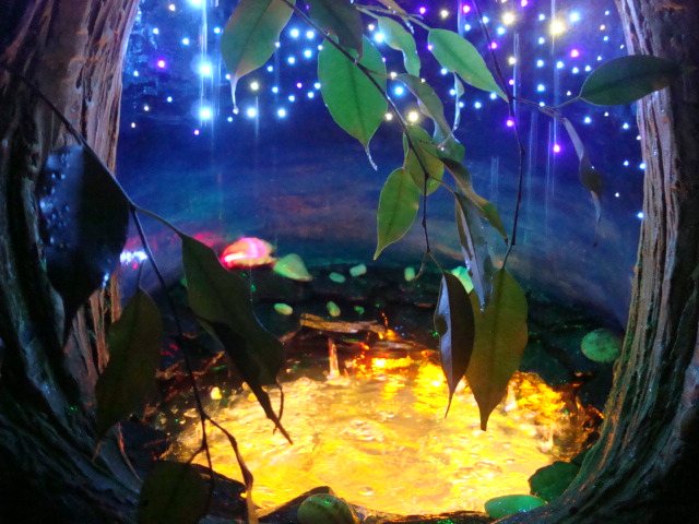 DSC04382
