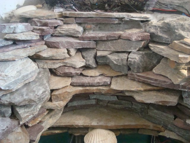DSC05164