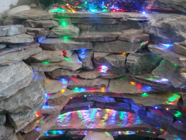 DSC05165